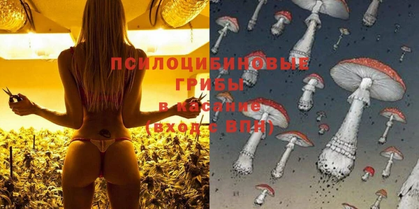 PSILOCYBIN Вязники