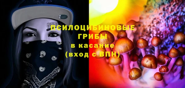 хмурый Вяземский