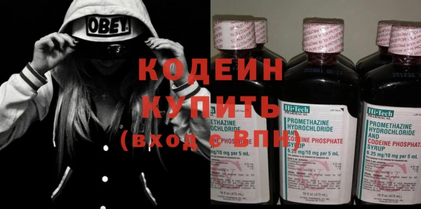 хмурый Вяземский