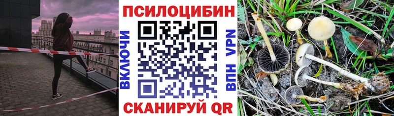 где продают наркотики  Железноводск  Галлюциногенные грибы Psilocybe 